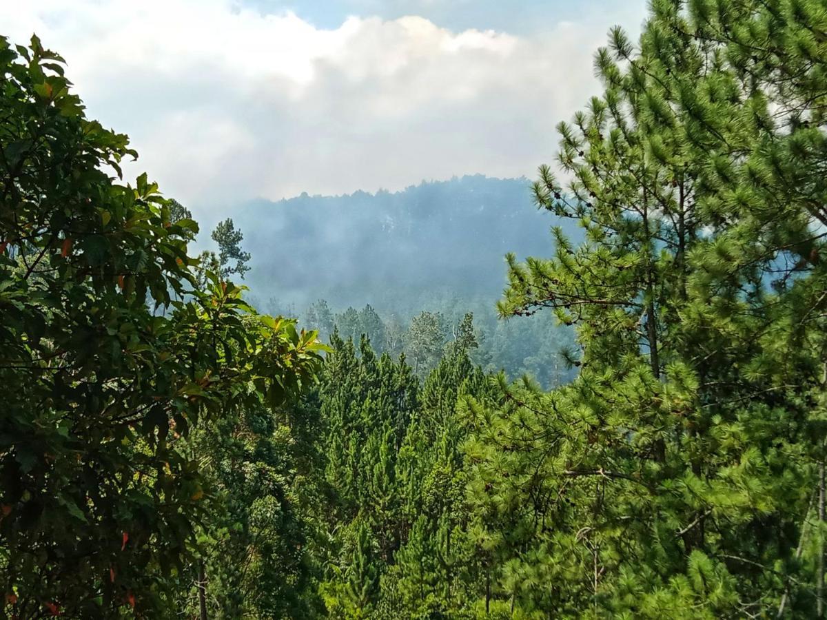 إيلا New Rose Villa Bandarawela المظهر الخارجي الصورة