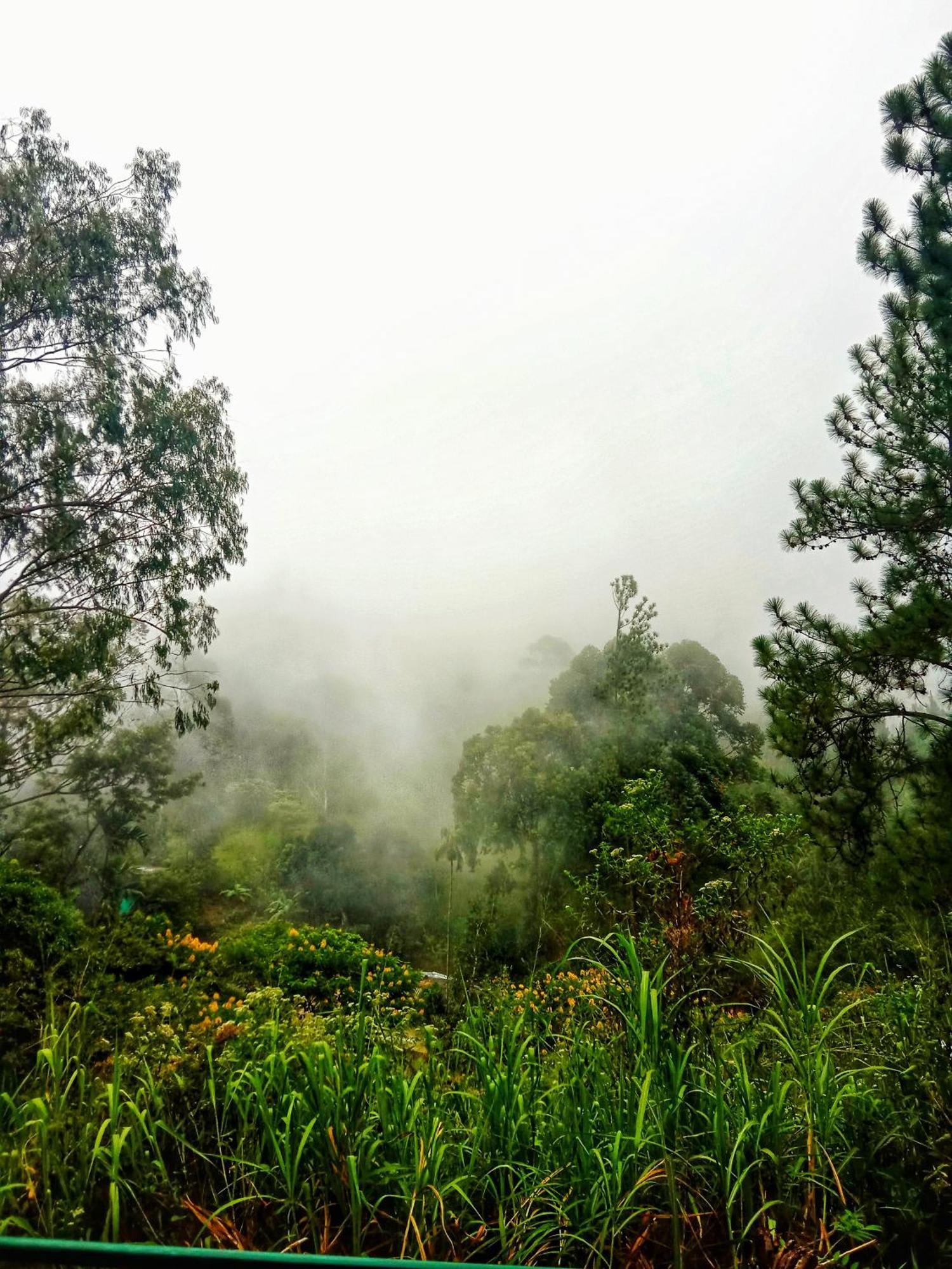 إيلا New Rose Villa Bandarawela المظهر الخارجي الصورة