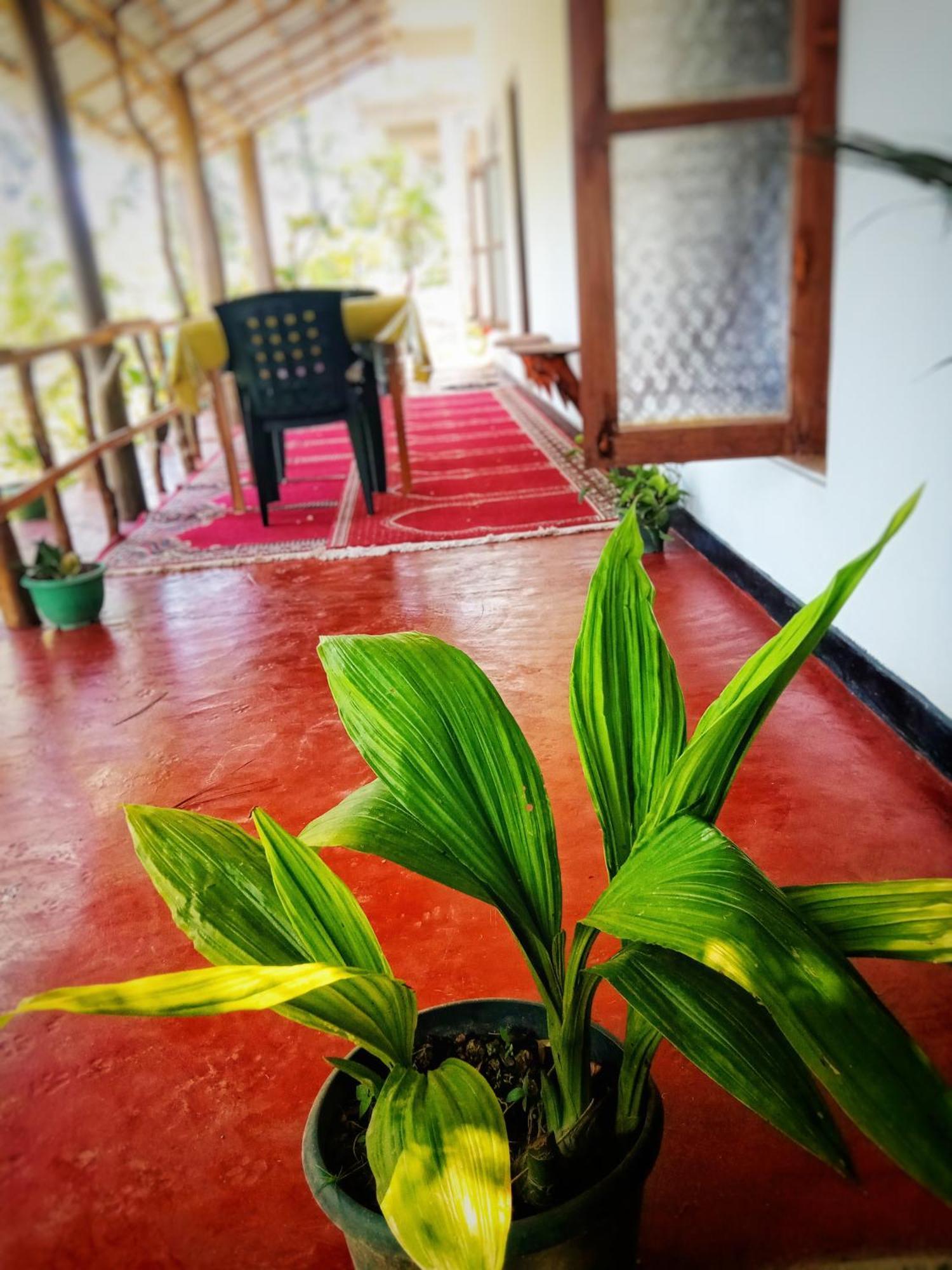 إيلا New Rose Villa Bandarawela المظهر الخارجي الصورة