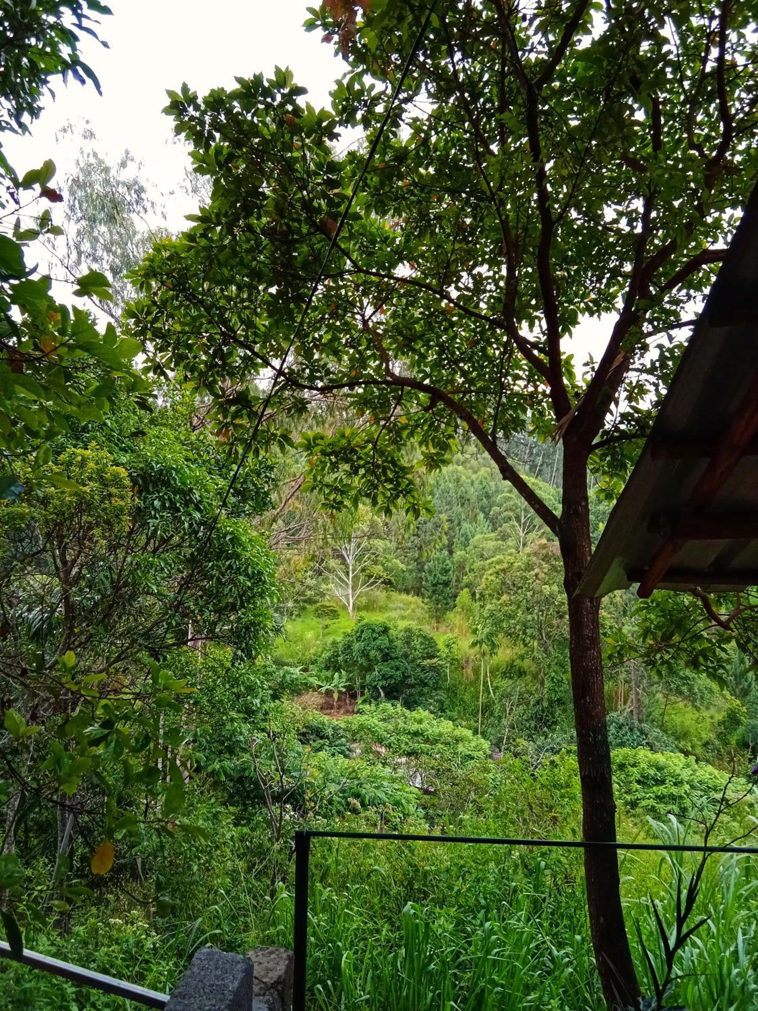 إيلا New Rose Villa Bandarawela المظهر الخارجي الصورة