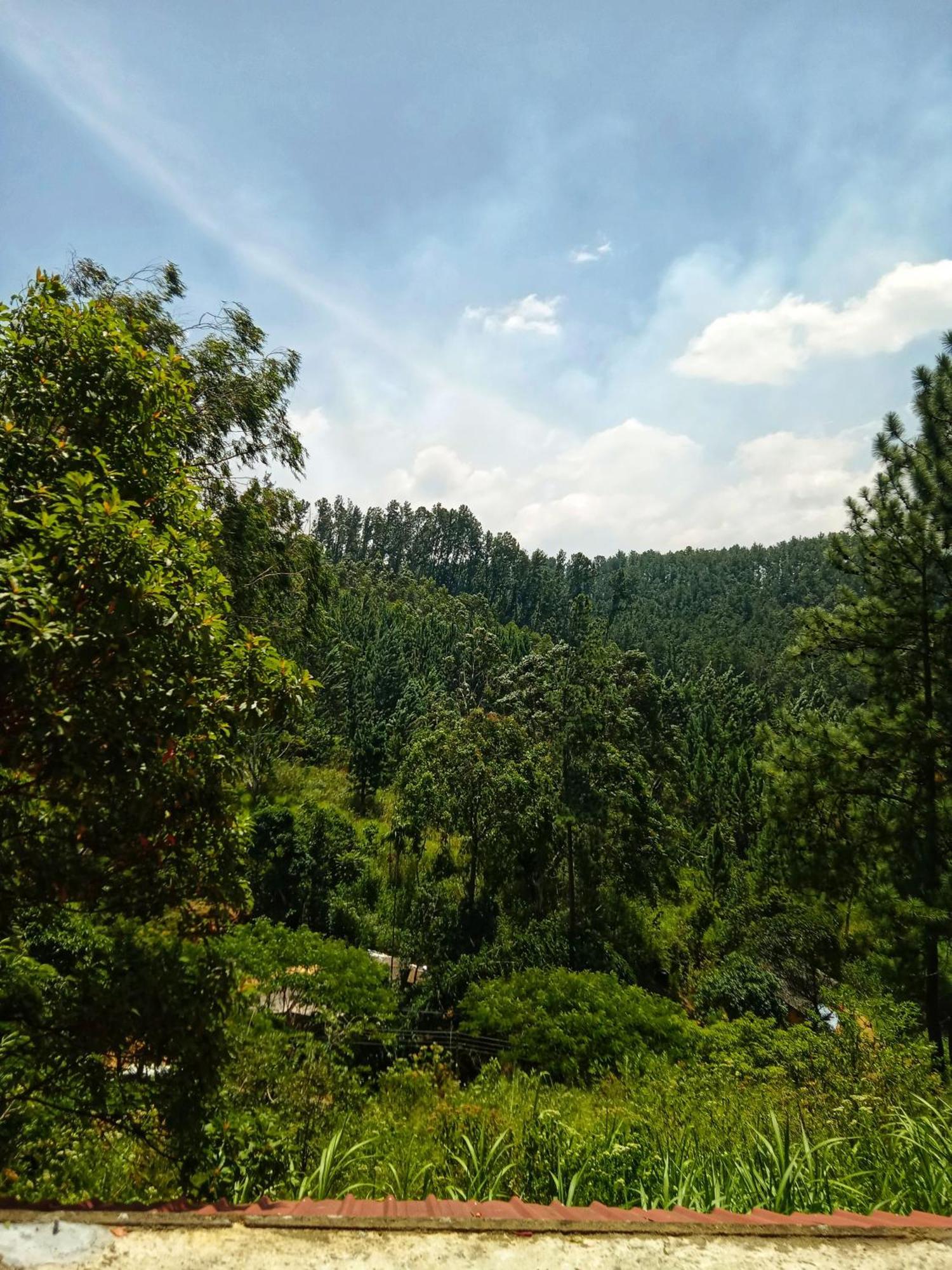 إيلا New Rose Villa Bandarawela المظهر الخارجي الصورة
